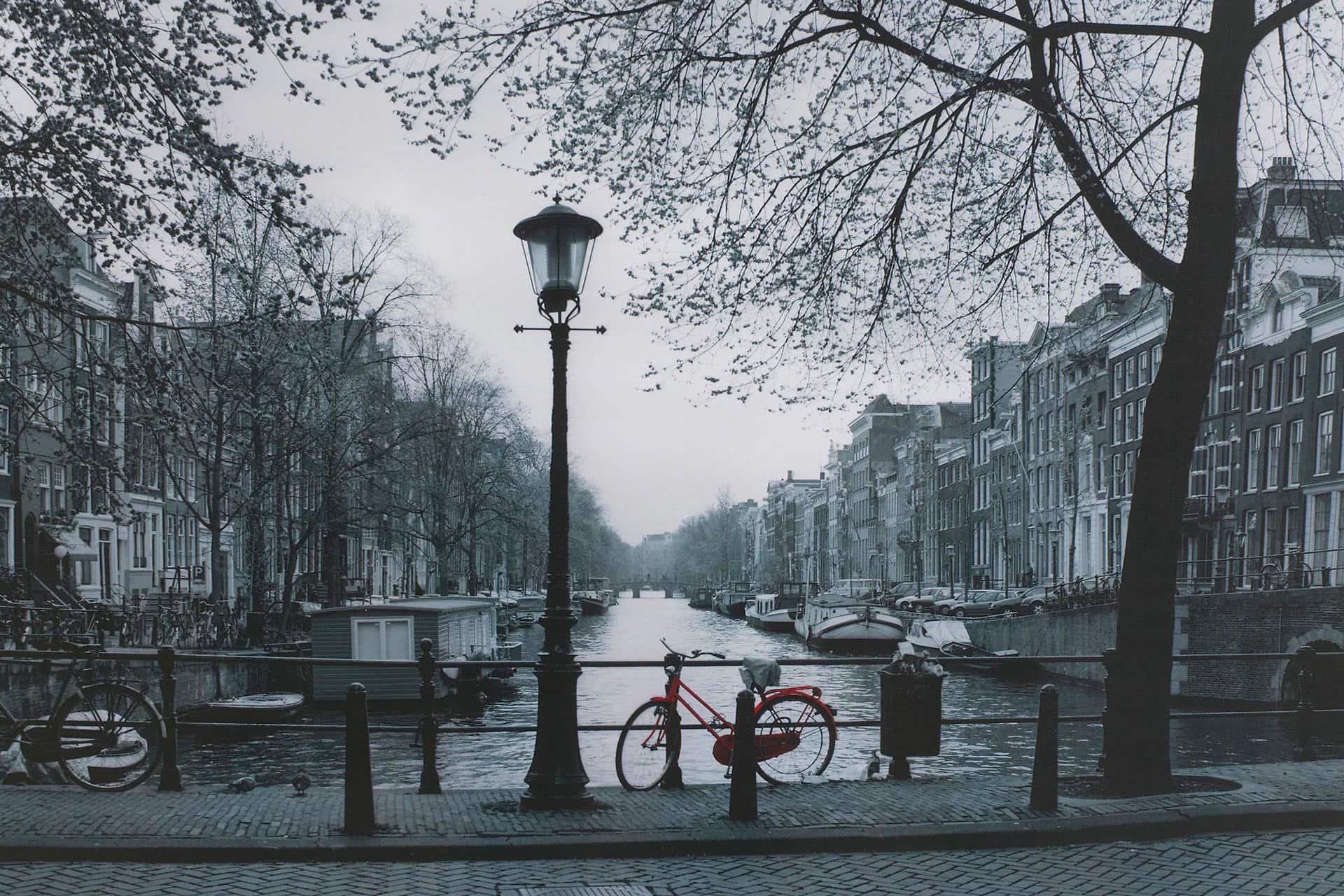 Beate Chelette - Wild Business Growth Podcast #184: The Growth Architect, Selling to Bill Gates